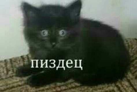 Работа, работа перейди на Федота