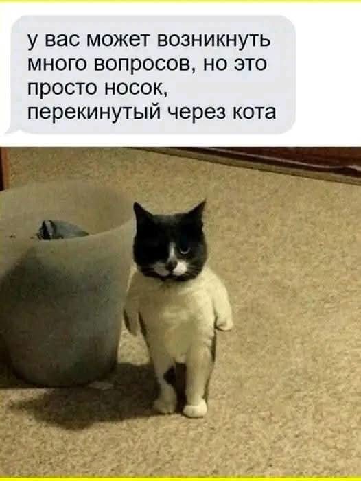 Веселое настроение в картинках 29.07.26