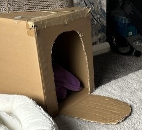 Кажется, котэ сломано