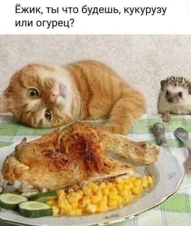 Минусов нет