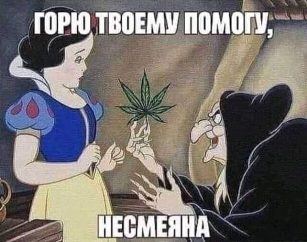 Картинки для деградации 278 (разной степени свежести)