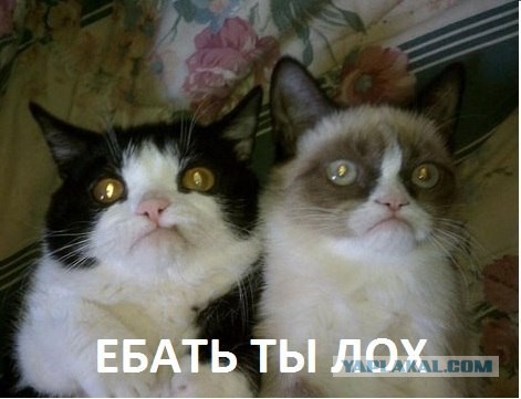Измена
