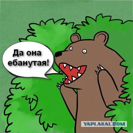 Знакомьтесь, секс-министр Ставрополья