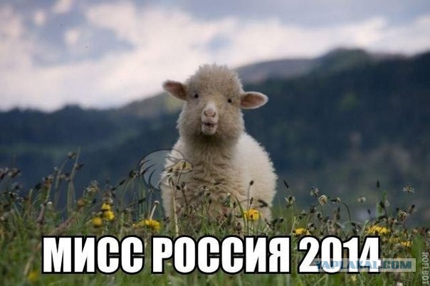Мисс Россия 2013