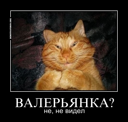 Демотиваторов пост