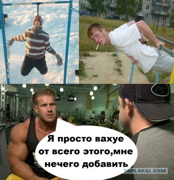 Когда в качалку заходит красивая девушка