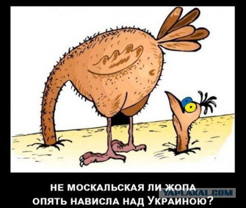 На поклон к Владимиру