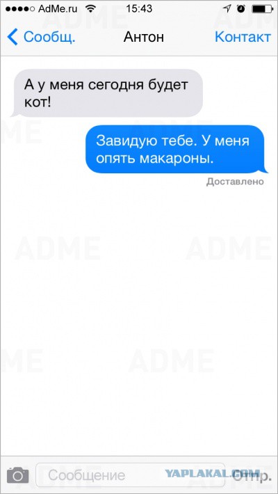 20 СМС с двойным смыслом