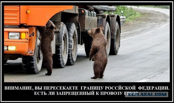 Для улыбок с утра