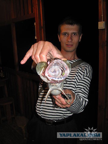 Всех С Днем Рыбака