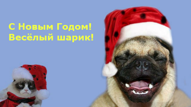 Новогодняя обоина веселого кота