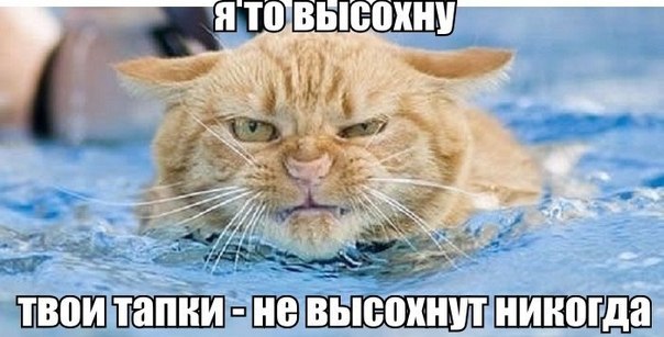 Картинки и демотиваторы