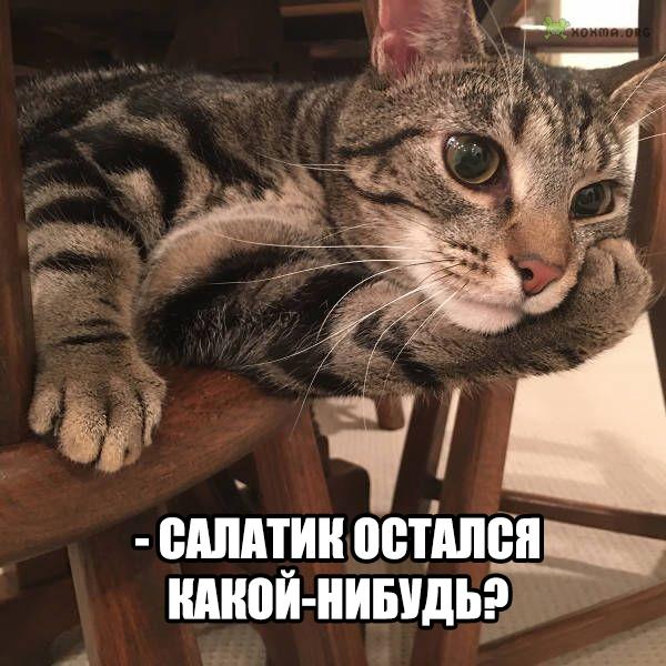 А давайте улыбнёмся В Новом Году