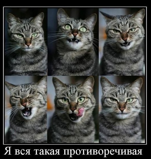 Картинки, СМСки из вашего тырнета