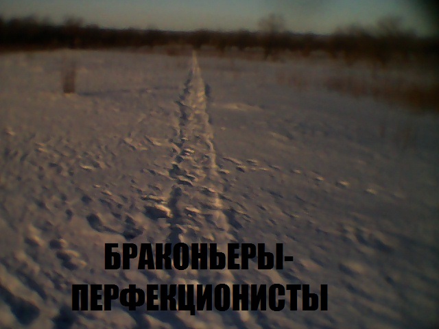 Картинки из сети, подборка на пятницу.