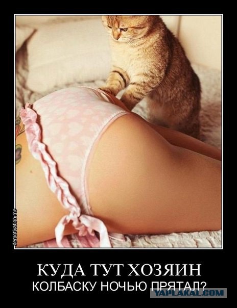 Почему кошка топчет вас лапками?