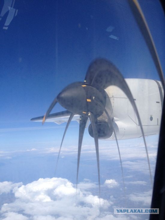 Подборка интересных и веселых картинок