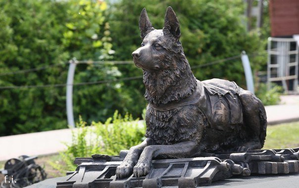 Начерпано. Короткие истории