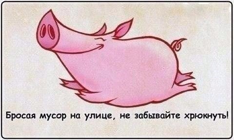 Подборка интересных и веселых фото