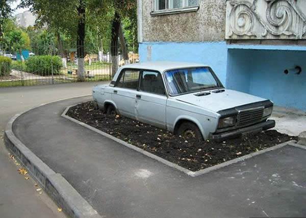Забавные картинки из сети