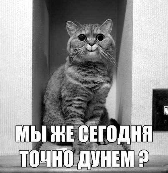 Подборка картинок