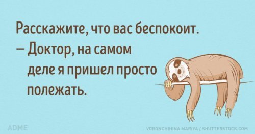 Анекдоты. Фразы