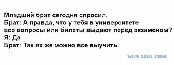 Смешные комментарии из социальных сетей 17.06.2016