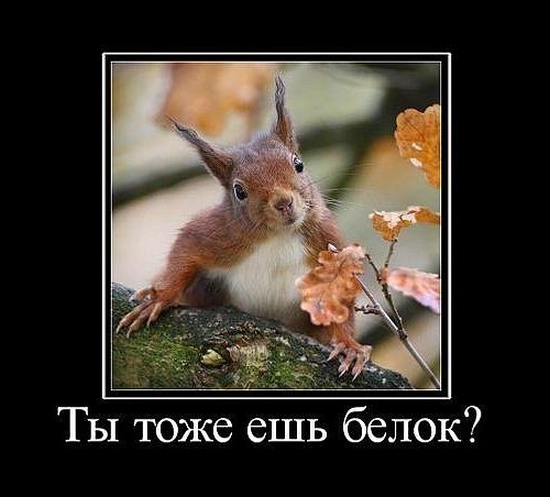 Все по инструкции делаю!