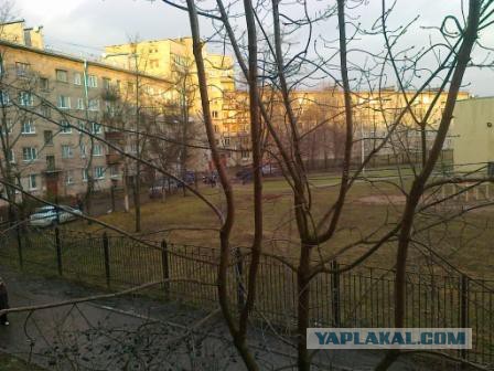 11 причин, чтобы бросить всё и переехать в Петербург