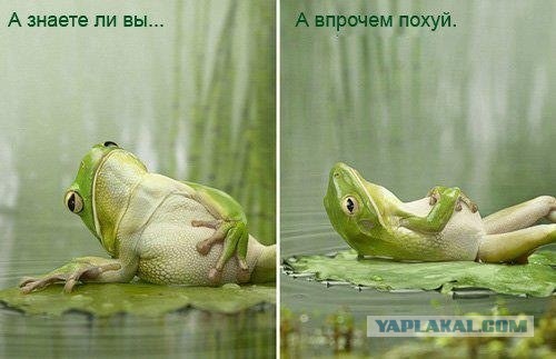 Скандал в торговом центре, "вежливые" продавцы