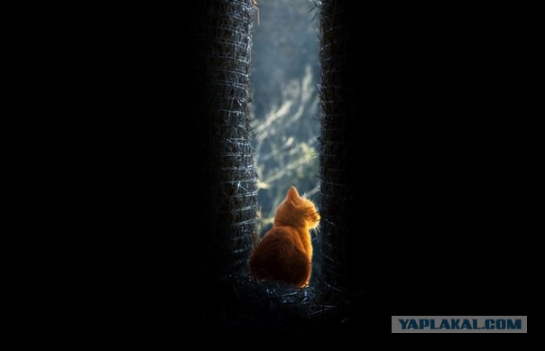 Винегрет фоток на вторник...