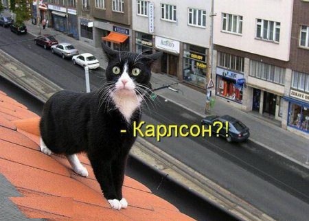 Немножко картинок с буквами, типа демотиваторы