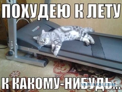 Подборка интересных и веселых картинок