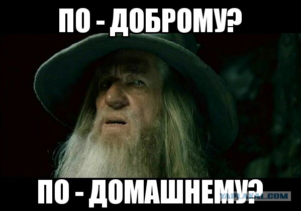 Клуб дуэлянтов, крови и зрелищ