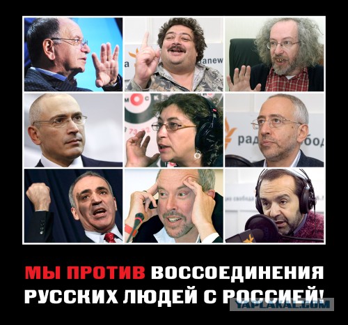 Белое безобразие: молоко в России стоит дороже, чем в США