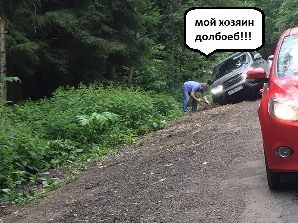 То чувство, когда обочечник жидко попался!