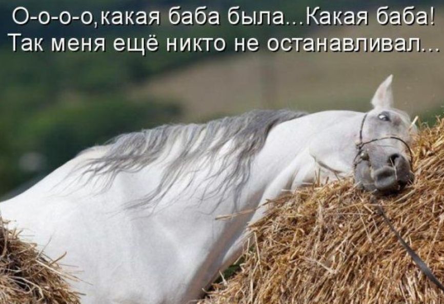 10106775.jpg
