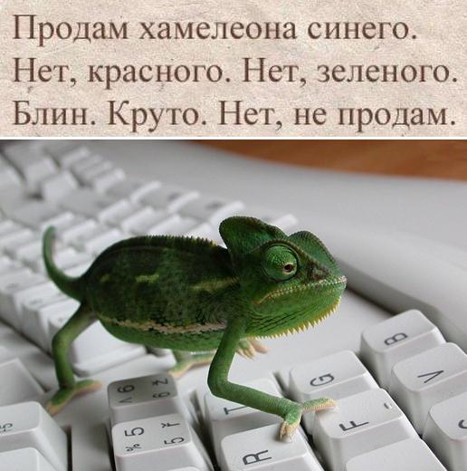 Подборка картинок