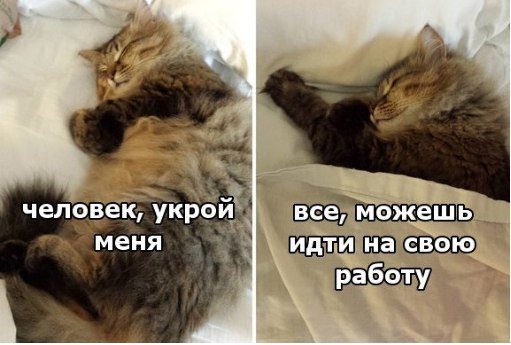 Подсобирал немного картинок .... местами с юмором