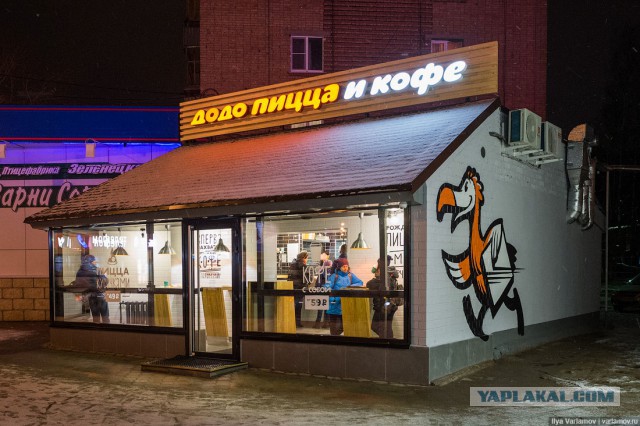 Cистема решила сожрать ботаника и подробнее о "Додо-пицце и наркоте"