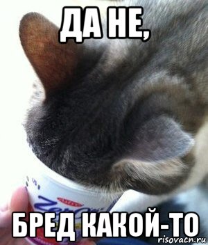 Путин взялся за сыр
