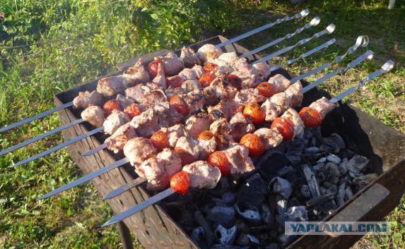 Даже нюхать нельзя! Учёные обнаружили связь между шашлыками и раком кожи