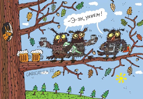 Немного весёлых картинок в эту субботу