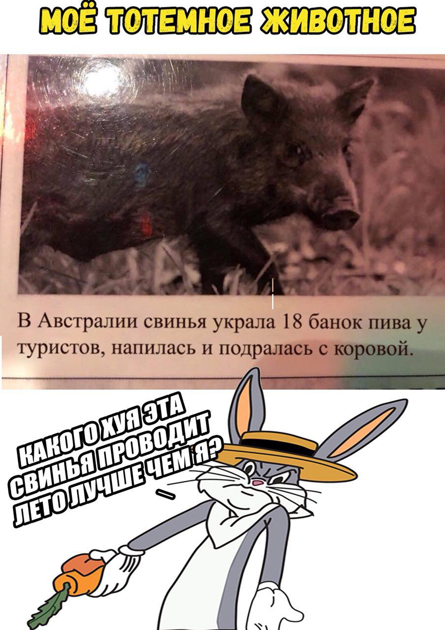 В Австралии свинья украла