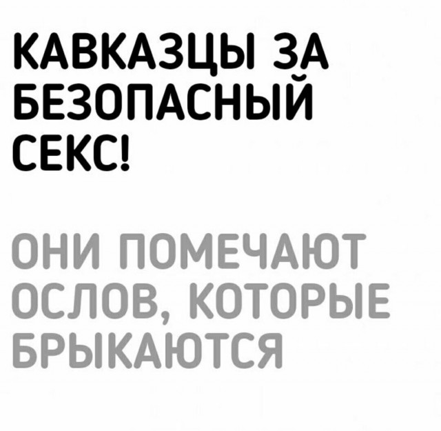 Бросай политоту, картинок завезли!