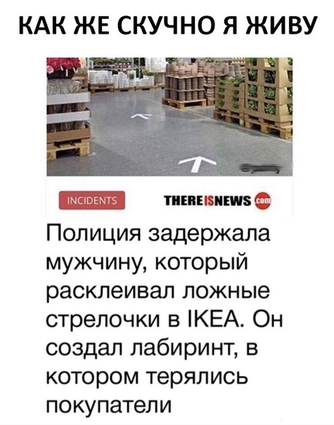 Чуток картинок. 08.10.19