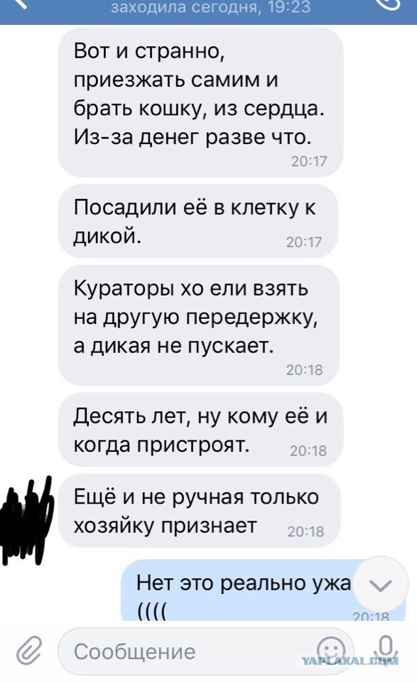 Помогите вернуть кота! Приют "Преданное сердце" украл кота и не отдает!