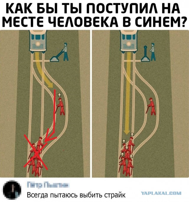 Картинки из рабочего чата 25.06