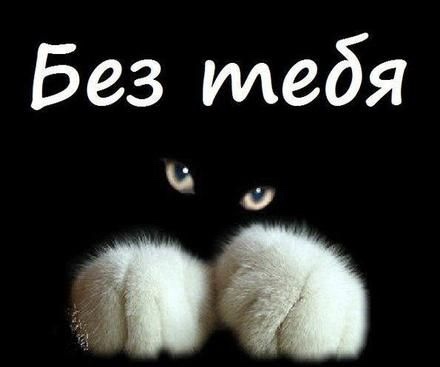 12 плюсов жизни незамужней девушки