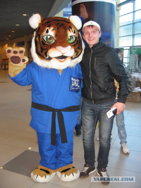 Тигр наказал гопника